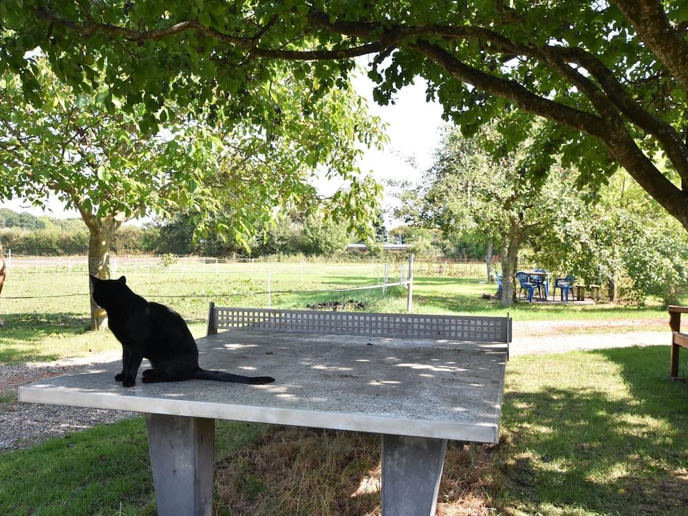 تشارمينج أبارتمنت إن بوجولز نير سي المنطقة الخارجية