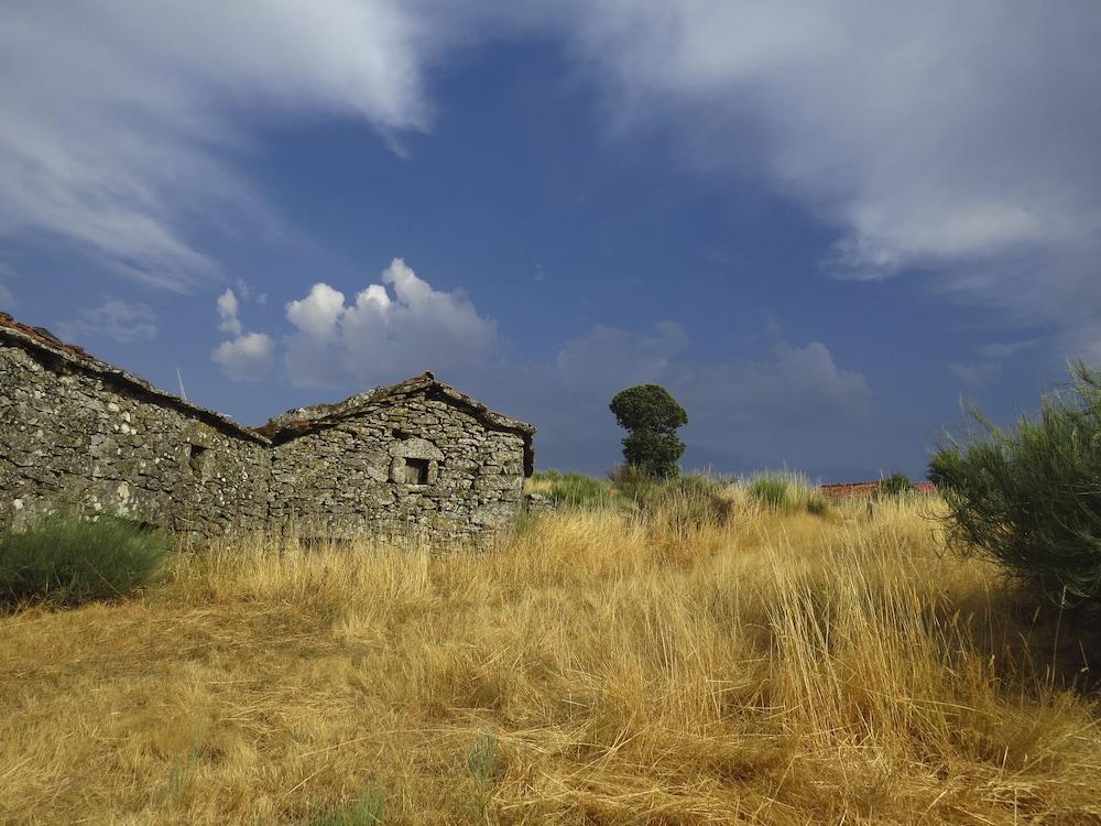 Comfortable Rural Cottage in Ancient Village in the Douro Region Exterior