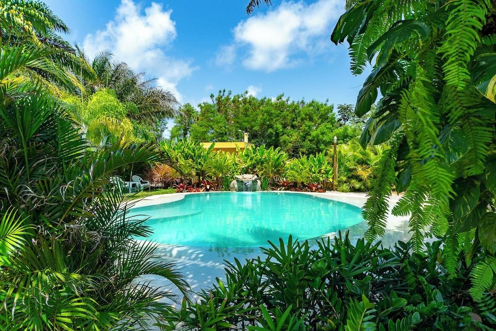 بوسادا تروبيكاريم