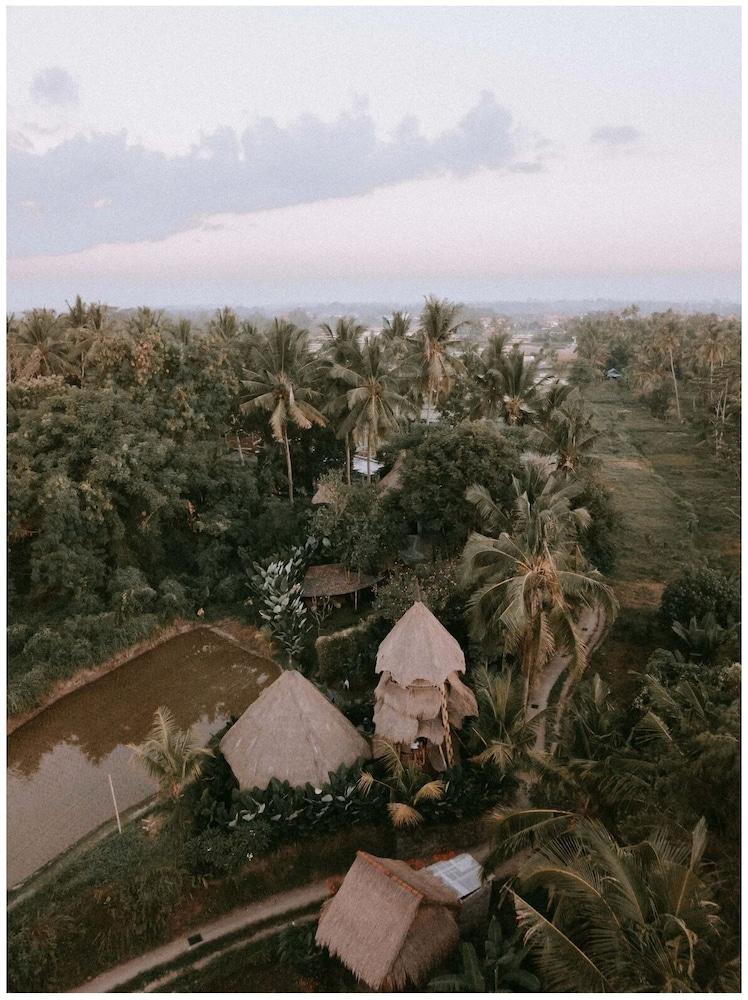 Firefly Eco Lodge Aerial View