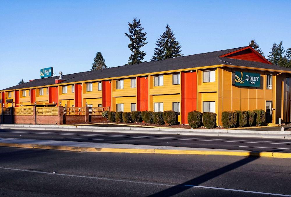 كواليتي إن سينتراليا تشيهاليس