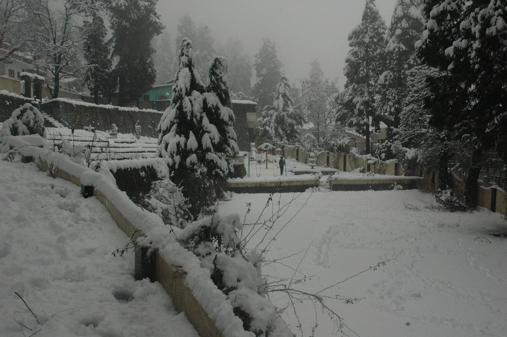 Shervani Hilltop Nainital Exterior
