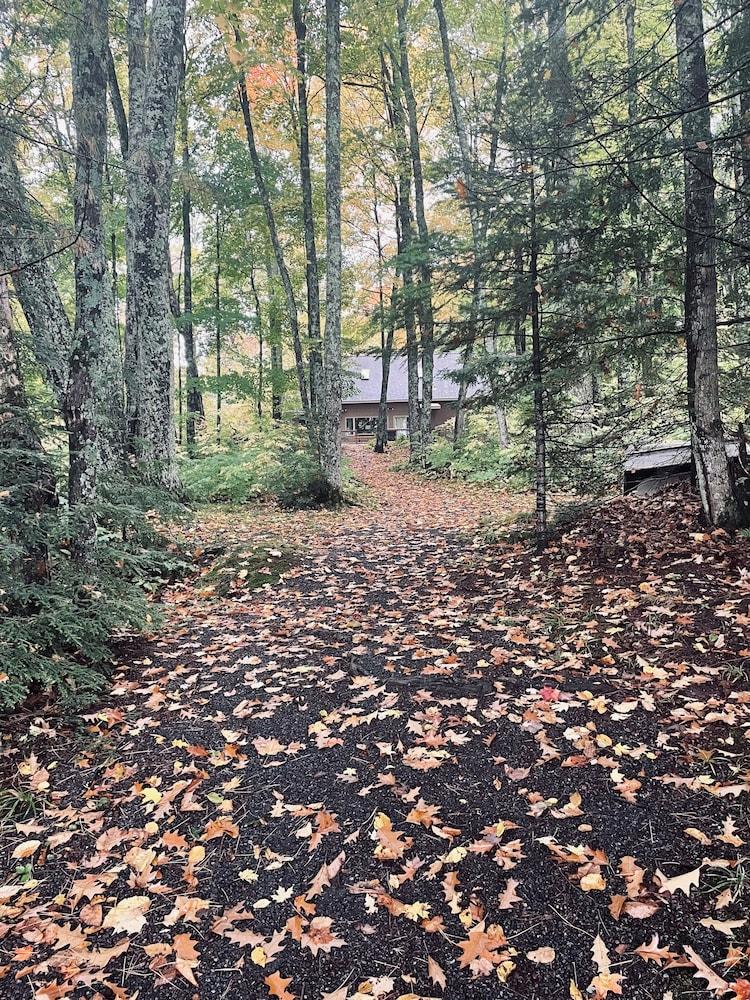 Taylor Lake Point Property Grounds