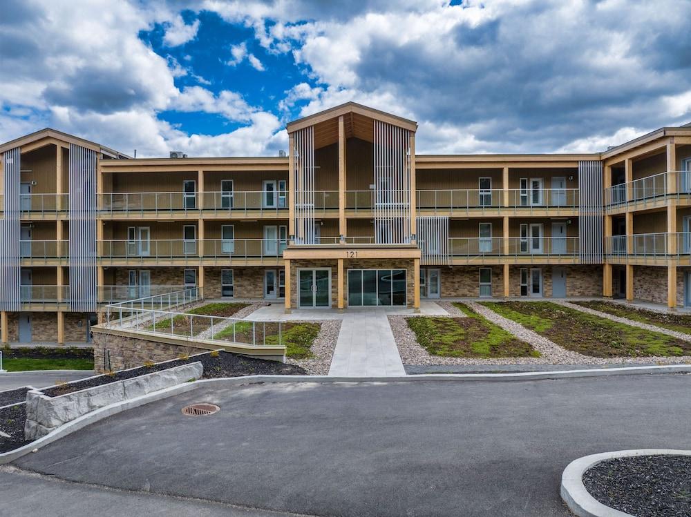 لاجو باي تريمبلانت بلاتينوم