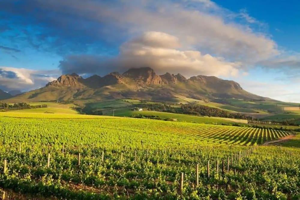 1bedroom With Tablemountain View Property Grounds