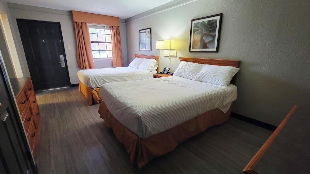 Flex Studios Culebra Room
