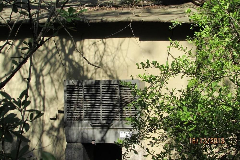 تو بد رومد بوش تانت أون ذا كلاسيري ريفر، ويث فري لايون هيينا ساوندز المنطقة الخارجية