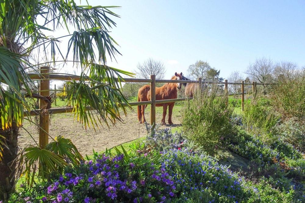 ستون هاوس إن بلاويزيك نير جويلو كوست المنطقة الخارجية