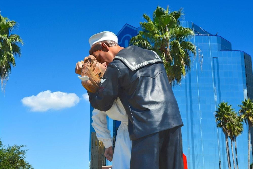 تورتوجا بول هوم المنطقة الخارجية