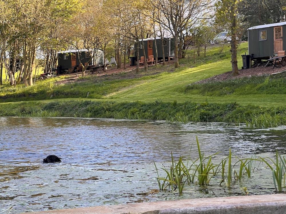 North Norfolk Glamping