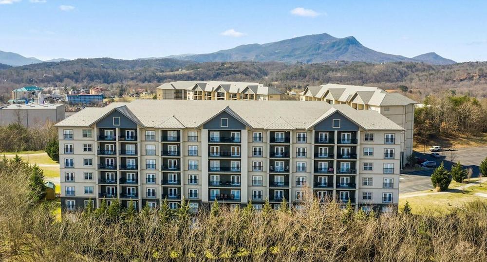 A Bear's Hibernation Exterior