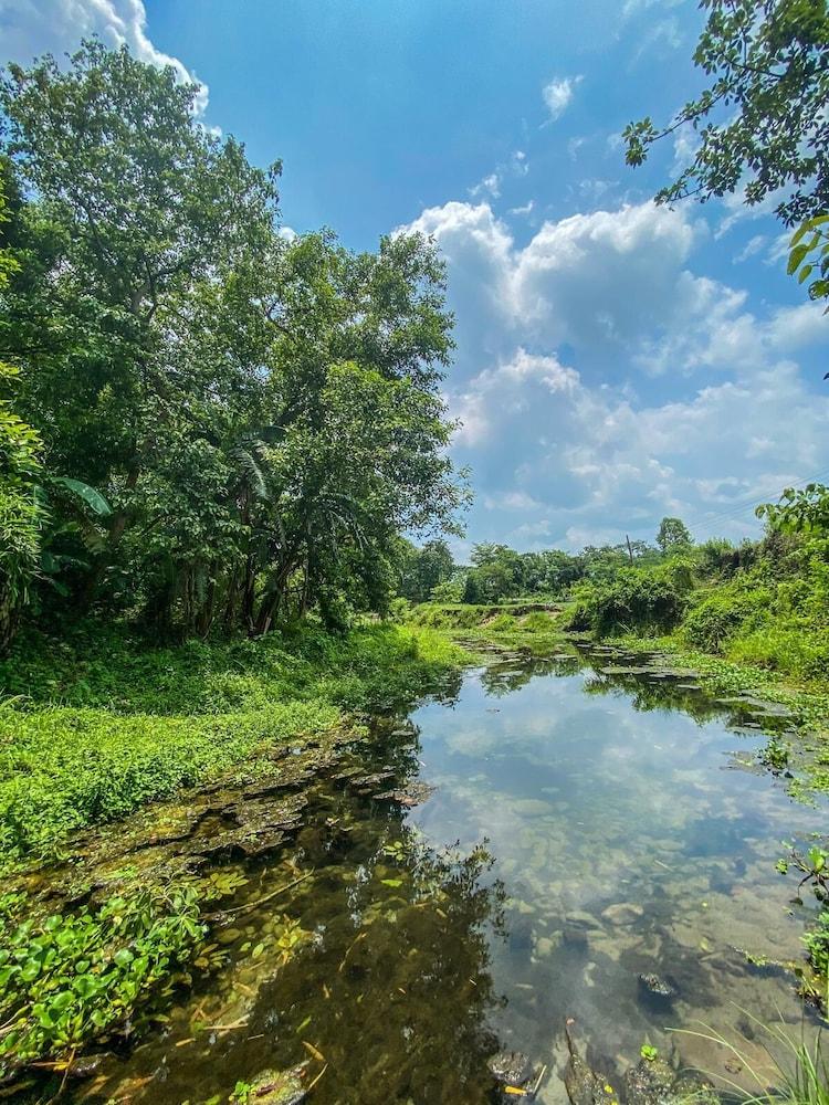 King Jungle Walk Safari &  Home Stay Exterior