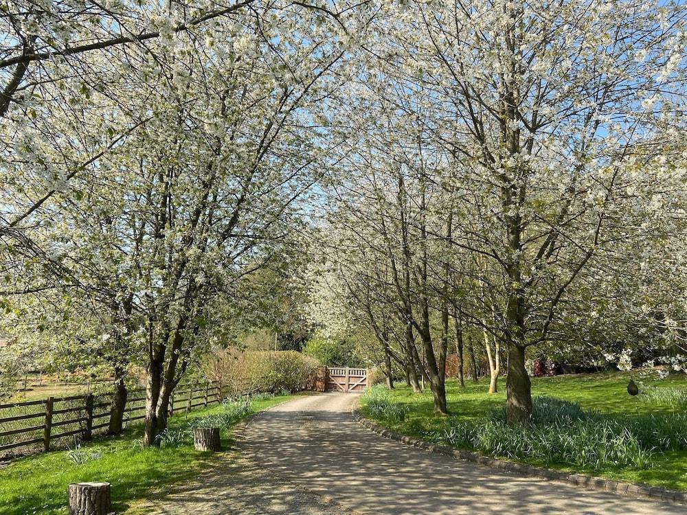 Luxury Chilterns Hideaway, Easy Access to London Property Grounds