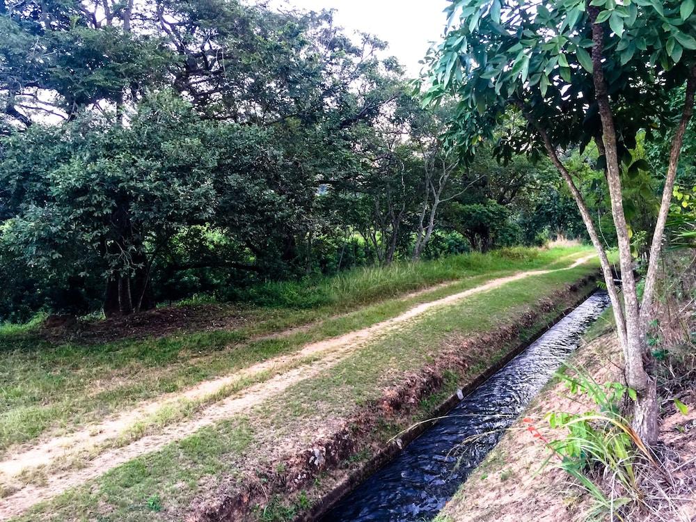 Masasana's Rest Property Grounds
