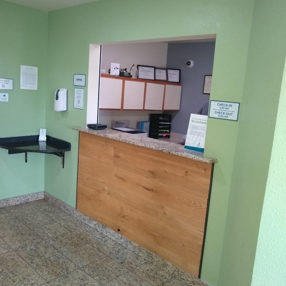 وود سبرينج سويتس هولاند - جراند رابيدز الردهة