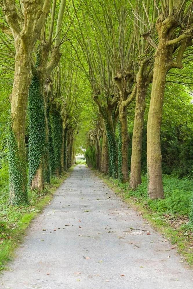 دومين دو براميفاون المنطقة المحيطة بالمنشأة