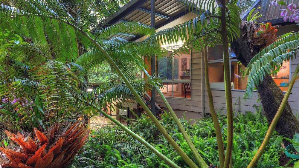 تشامبرز وايلد لايف رينفوريست لودجيز