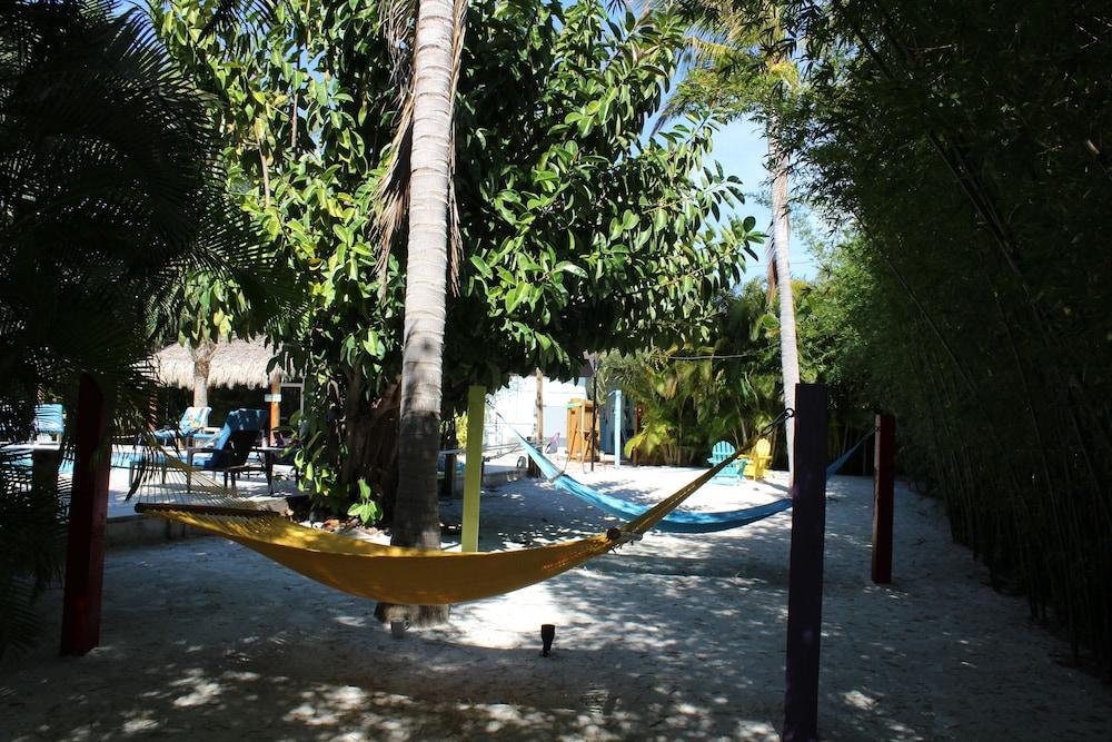 Siesta Key Palms Resort Exterior