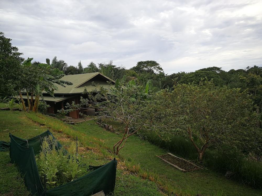 Cirenas Lodge and Regeneration Hub Property Grounds