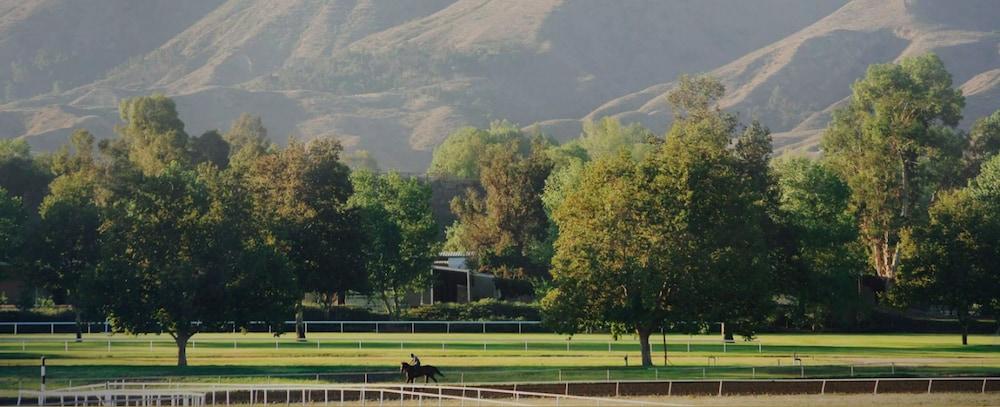 سيفلر لاينينج أير ستريم ترايلر كامب المنطقة المحيطة بالمنشأة