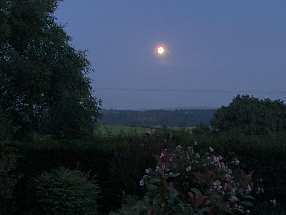 Unique Quirky Studio in Spreyton Property Grounds