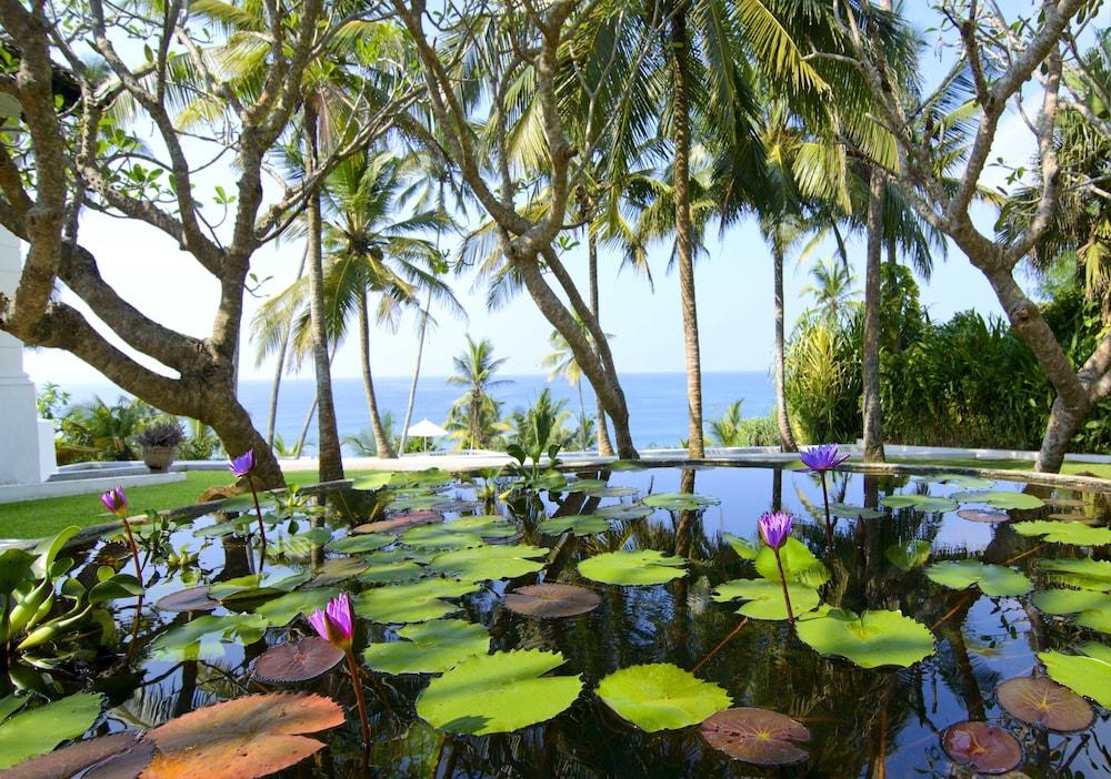 Pointe Sud Property Grounds