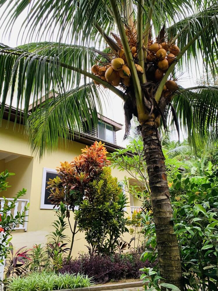 OSoleil Guesthouse Exterior