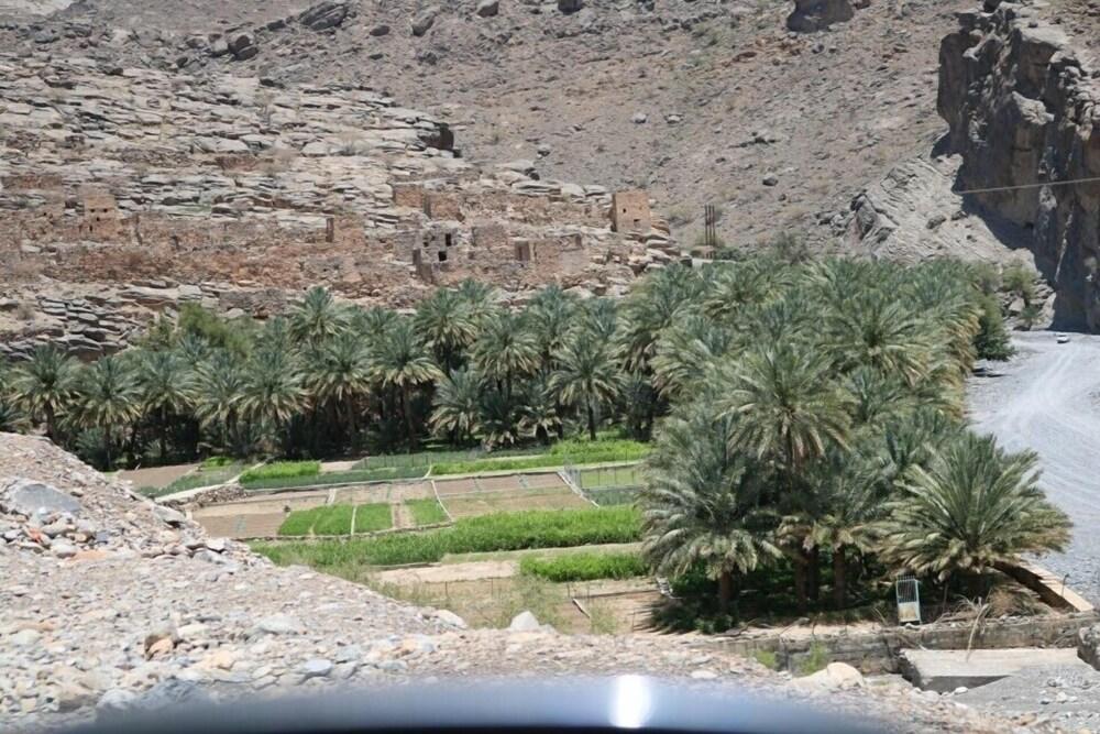 دار ضيافة أبو عمير جبل شمس المنطقة الخارجية