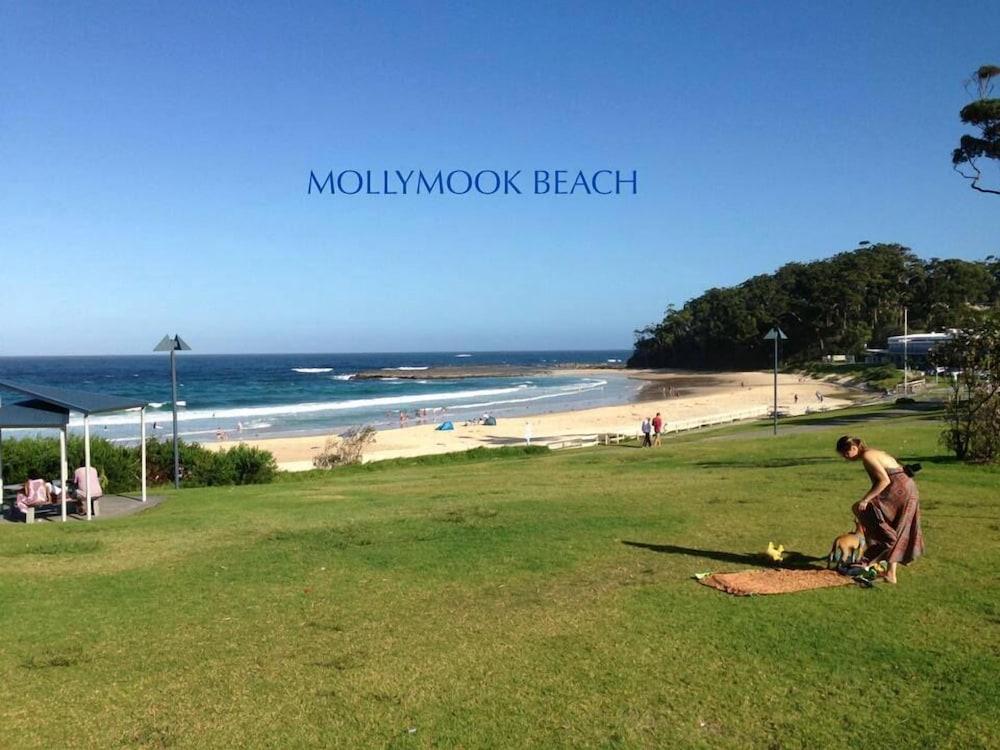 Beachhouse Mollymook Beach