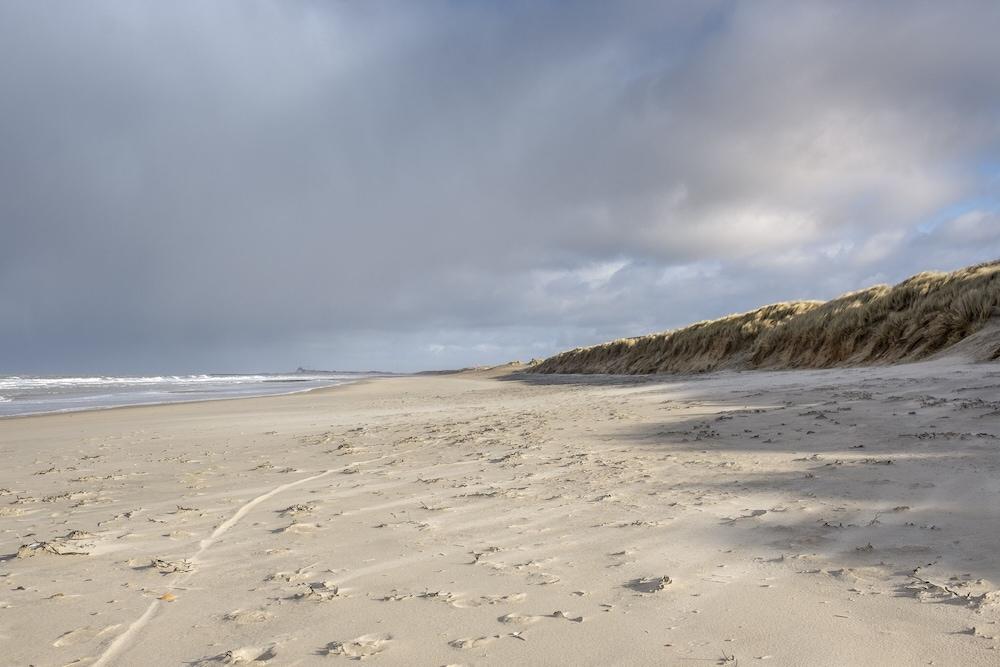 Sea Me If You Can Beach