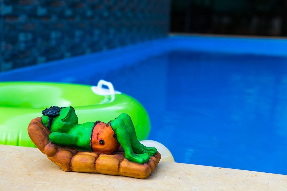 Lazy Frog Goa Featured Image