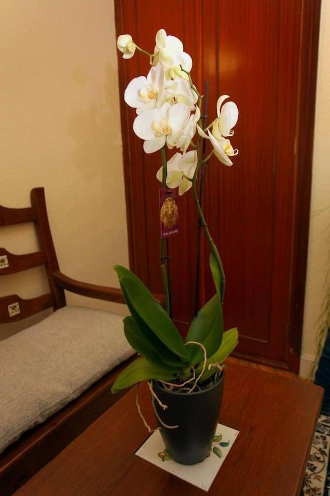 Alojamientos Arrarte Interior Detail