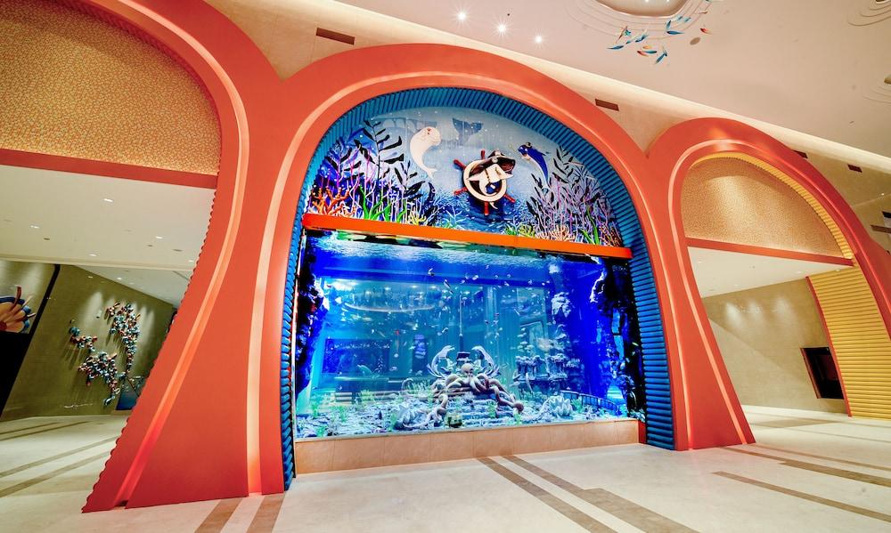 دولفين باي هوتل داخلي