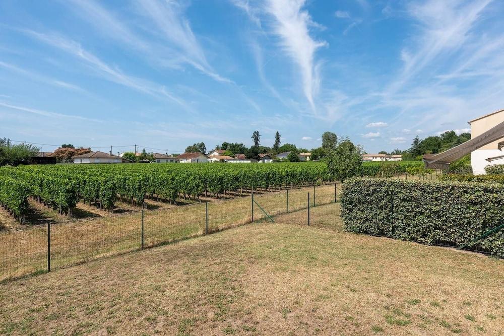 Les Grands Vignobles Exterior
