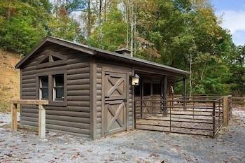 Horsin' Around - Romantic Cabin, Views, Pet-friendly, Hottub by Redawning Exterior