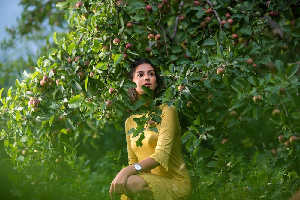 آبل كانتري ريزورتس - إيه فيجيتريان بليس المنطقة الخارجية