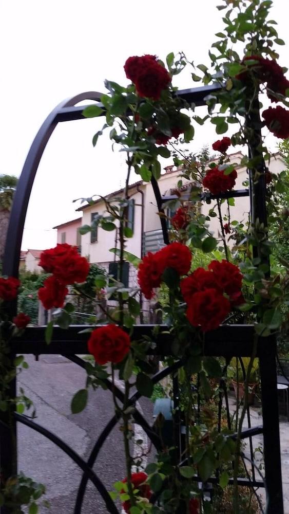 BBOderzo Bed & Breakfast Property Grounds