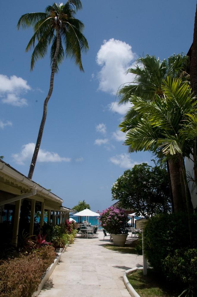 Mango Bay All Inclusive Interior