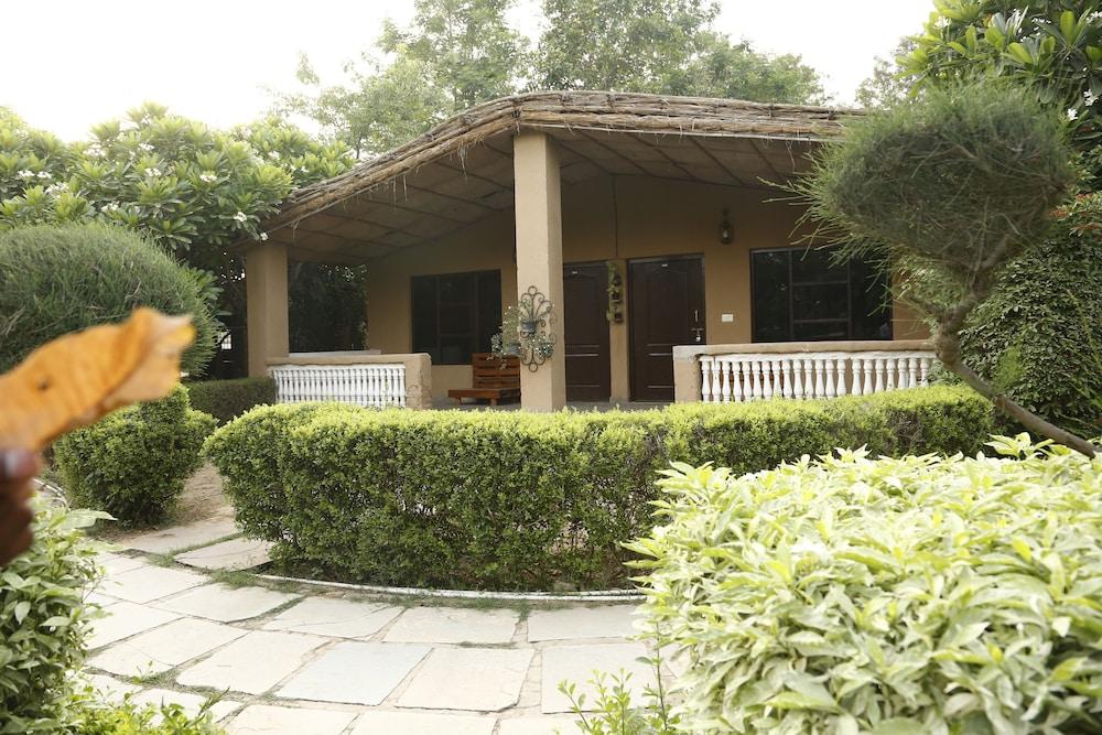 Botanix Resort Property Grounds
