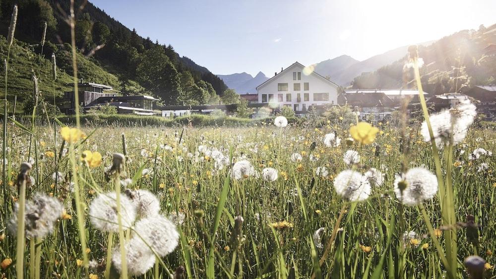 Wiesergut Property Grounds
