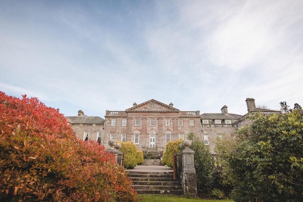 Springkell Featured Image