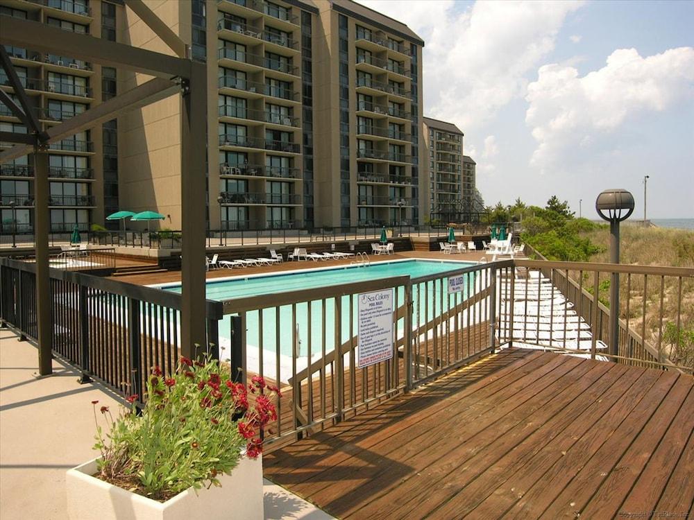 سي كولوني إي 206 أيلاند هاوس باي لونج آند فوستر المنطقة الخارجية