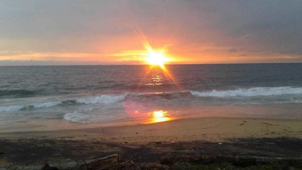 Reef bangalow Featured Image