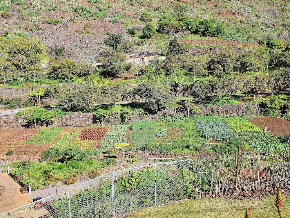 Fajã dos Padres Exterior