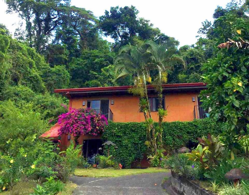 Lucky Bug B & B Exterior