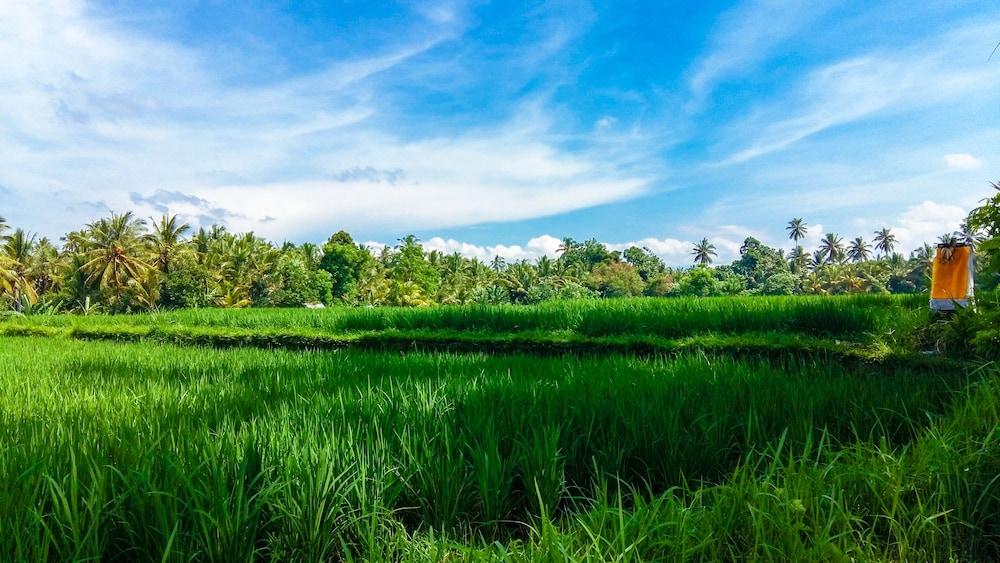 Visesa Ubud Resort Aerial View