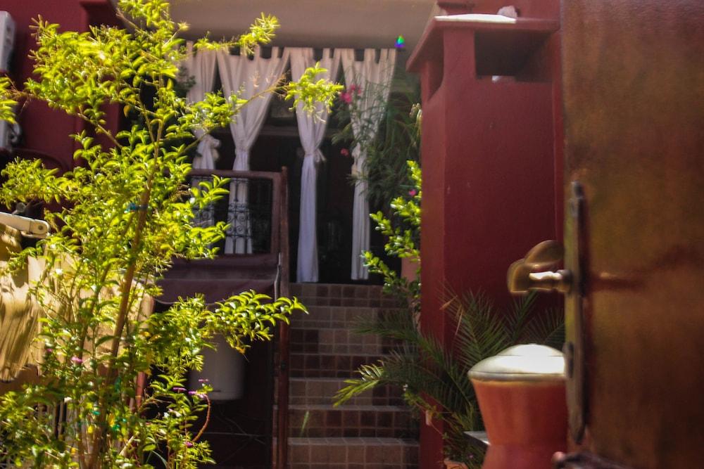 Riad Wink Featured Image