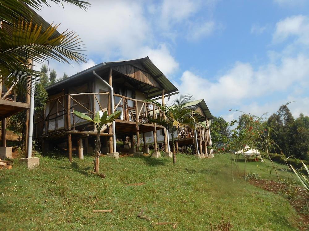 Aberdare Cottages & Fishing Lodge