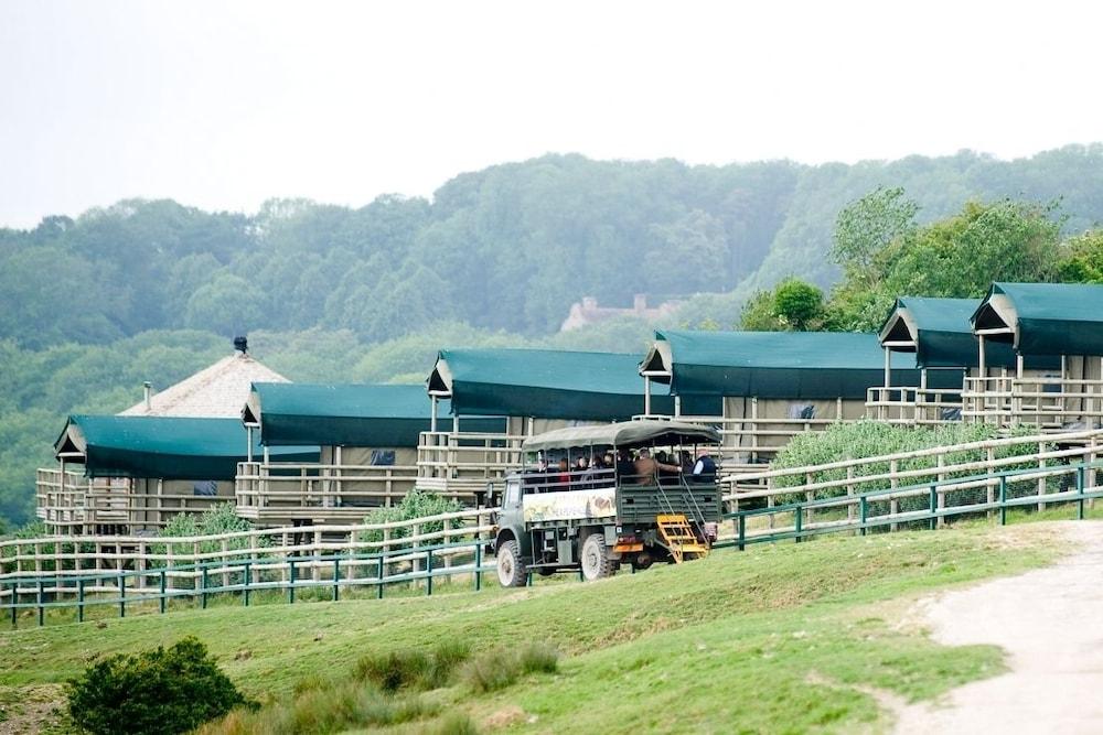 Port Lympne Reserve - Livingstone Lodge