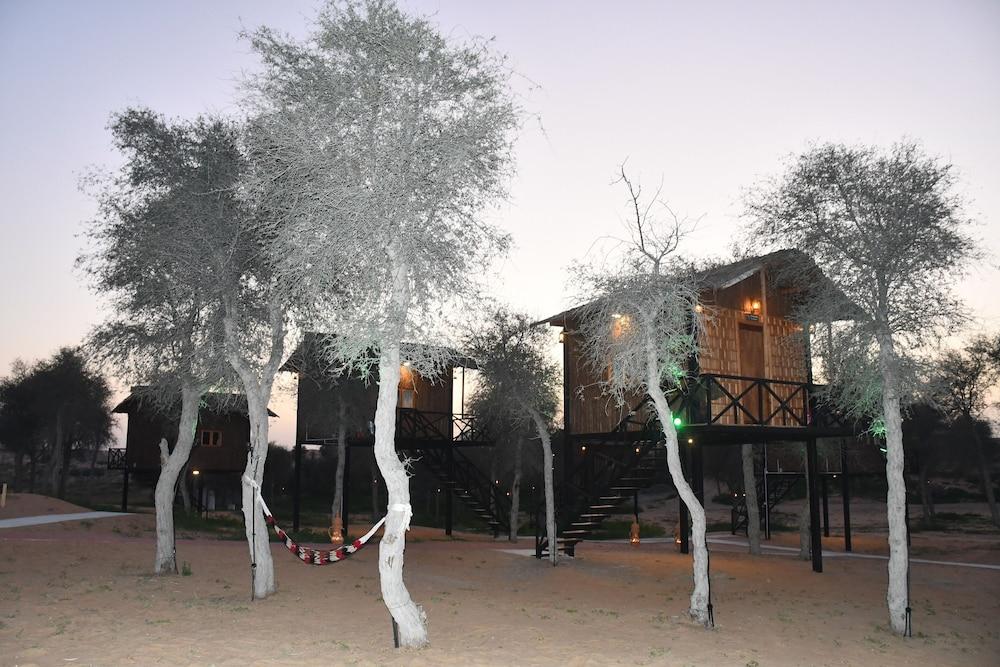 ذا ديونز كامبينج آند سافاري آر إيه كاي المنطقة الخارجية